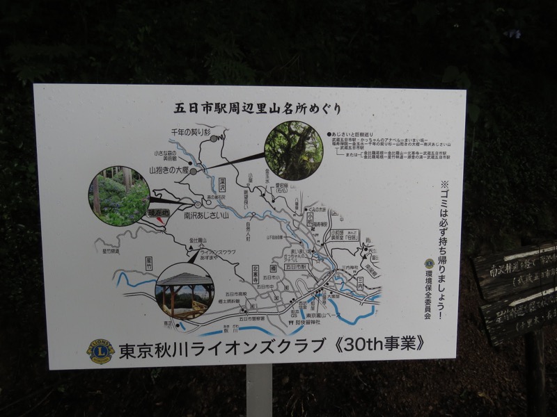 南沢あじさい山登山