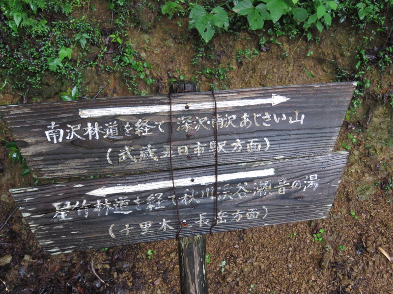 南沢あじさい山登山