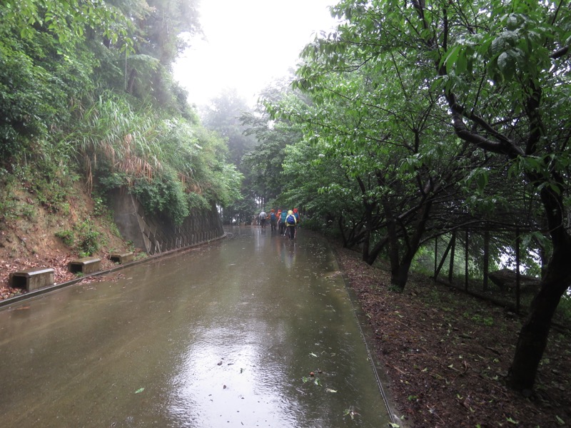南沢あじさい山登山