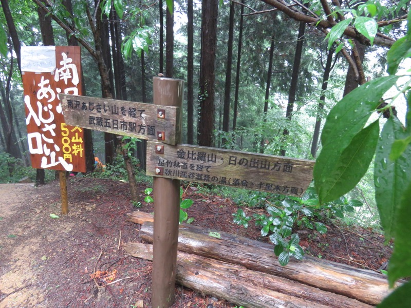 南沢あじさい山登山