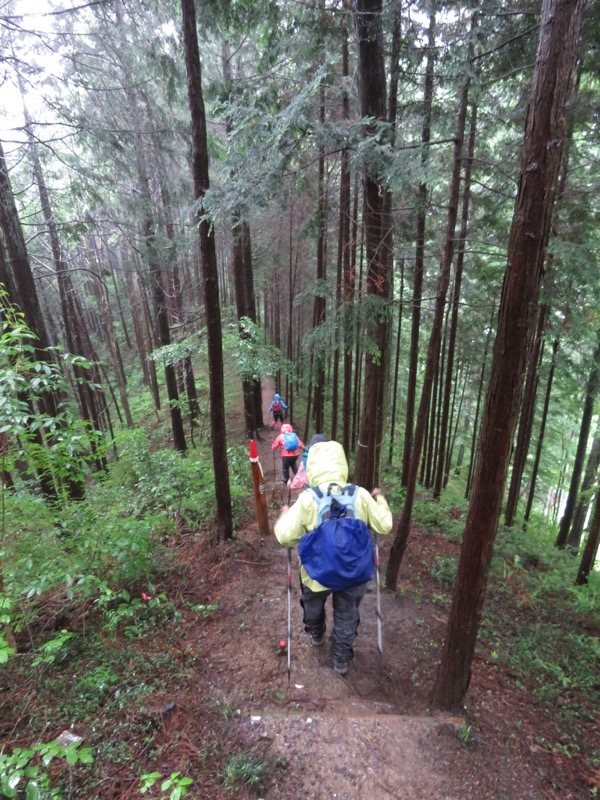 南沢あじさい山登山