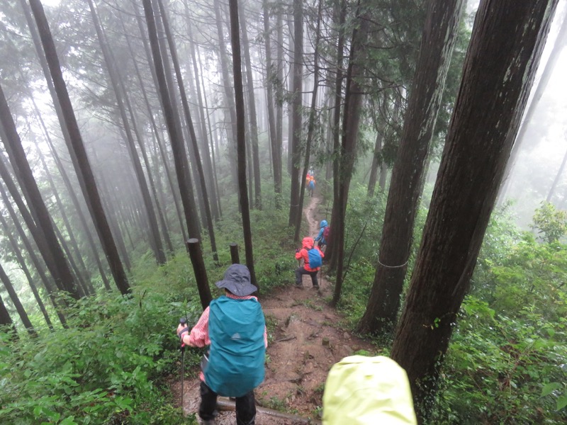 南沢あじさい山登山