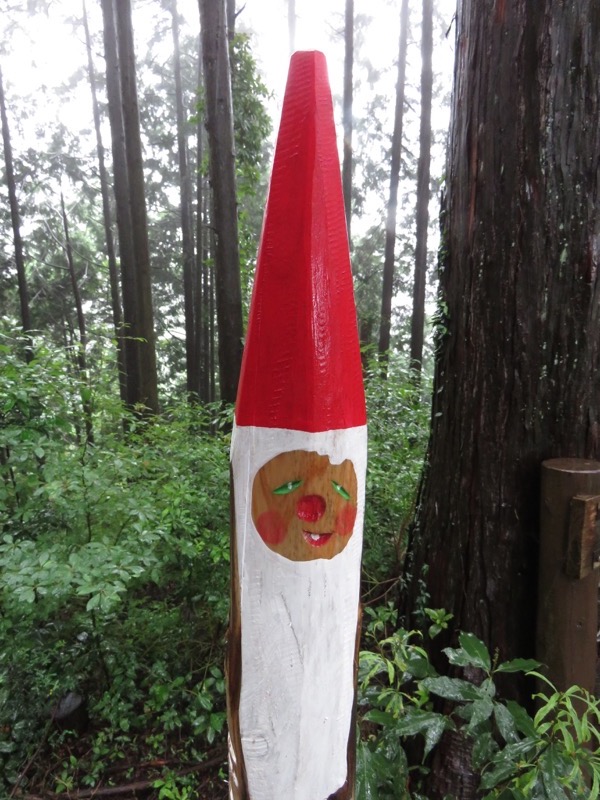 南沢あじさい山登山