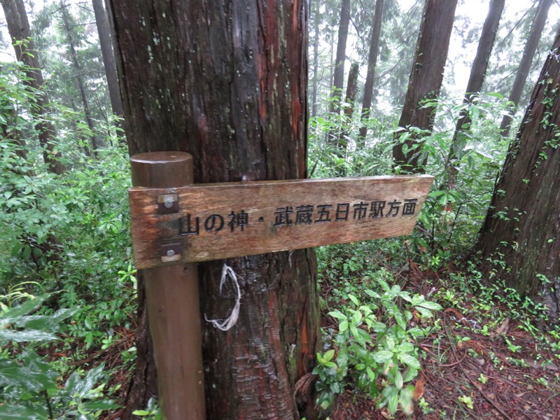 南沢あじさい山登山