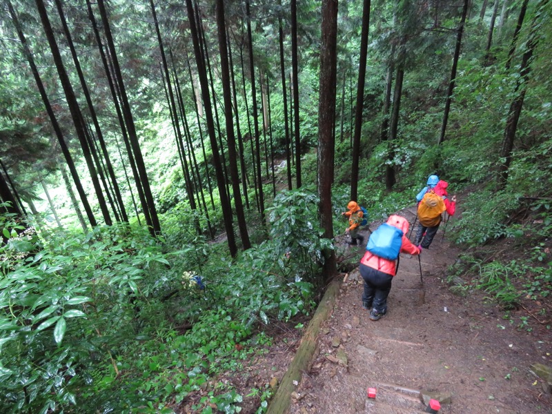 南沢あじさい山登山