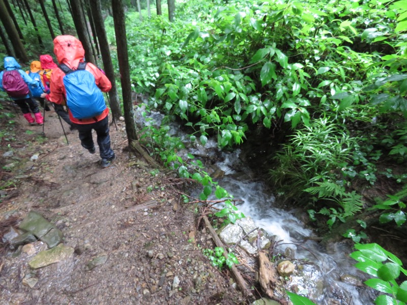 南沢あじさい山登山
