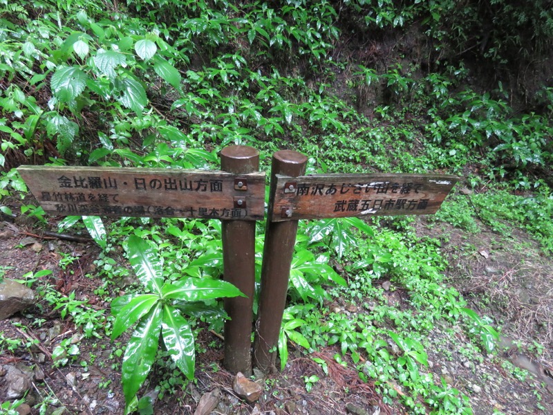 南沢あじさい山登山
