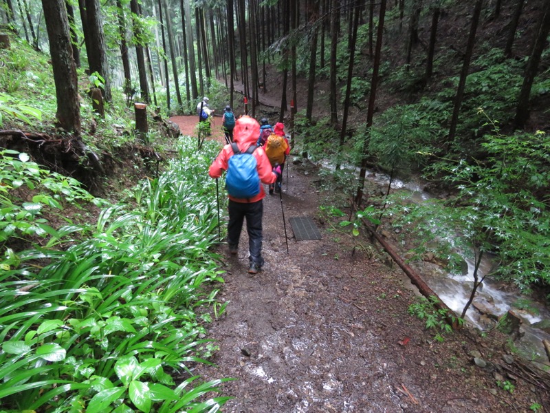 南沢あじさい山登山
