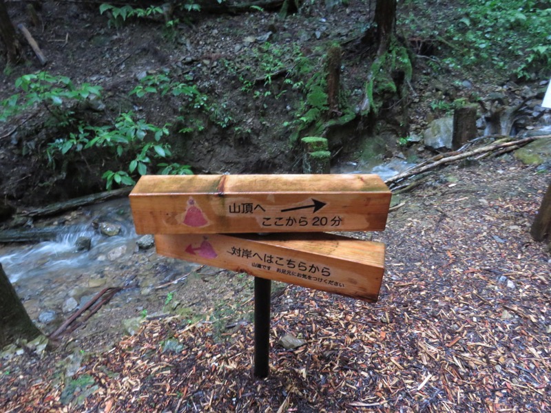 南沢あじさい山登山