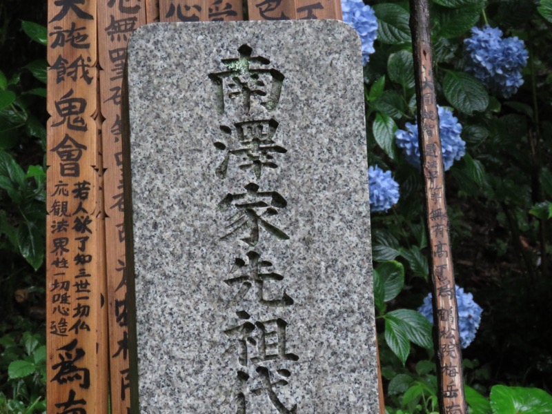 南沢あじさい山登山