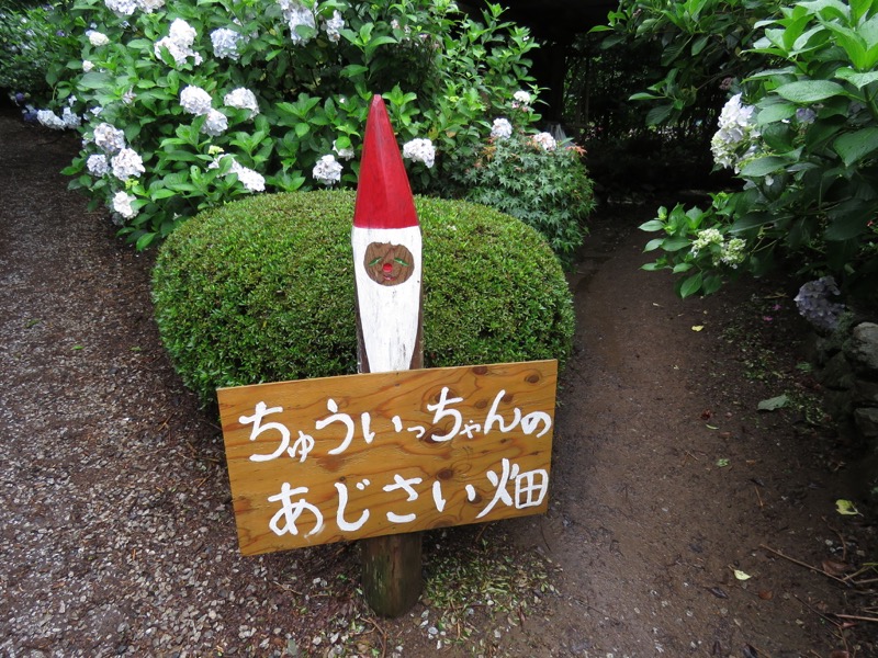 南沢あじさい山登山