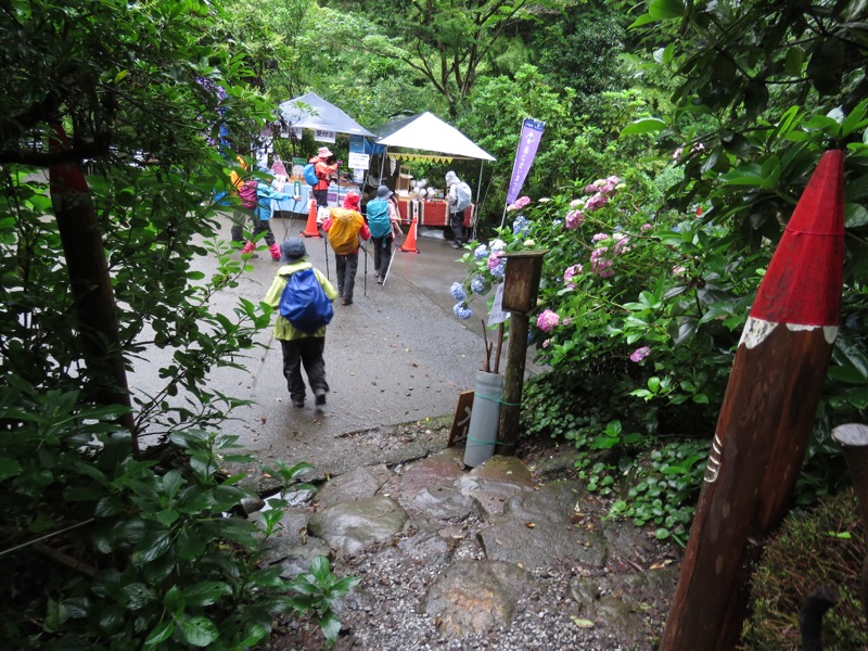 南沢あじさい山登山