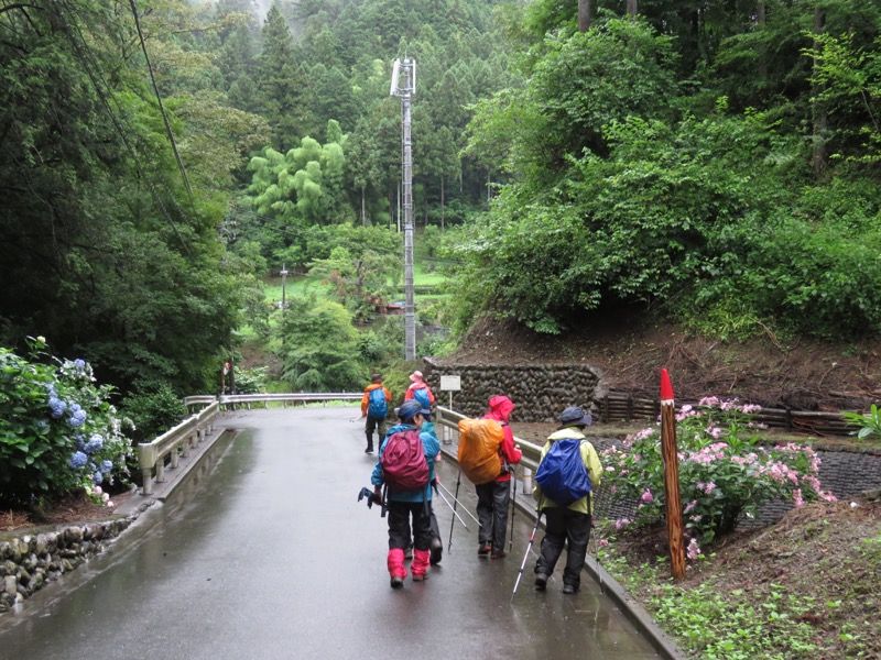 南沢あじさい山登山