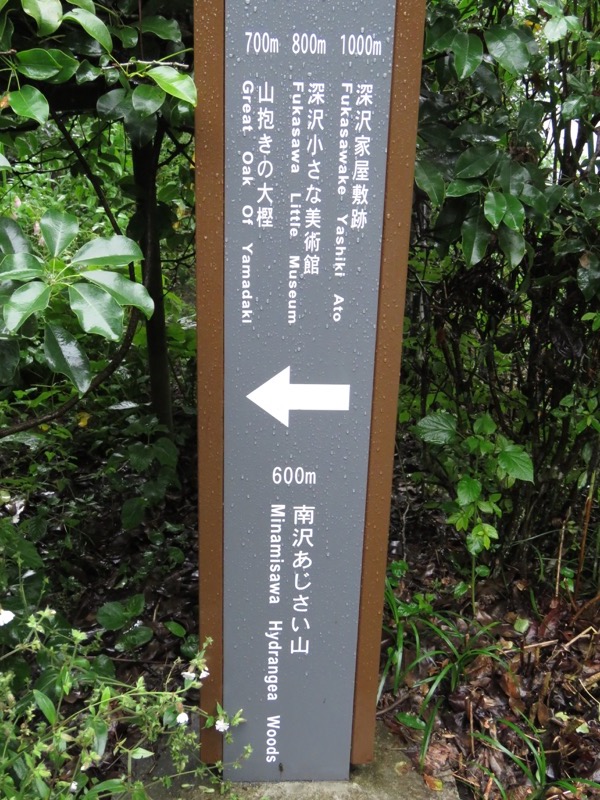 南沢あじさい山登山