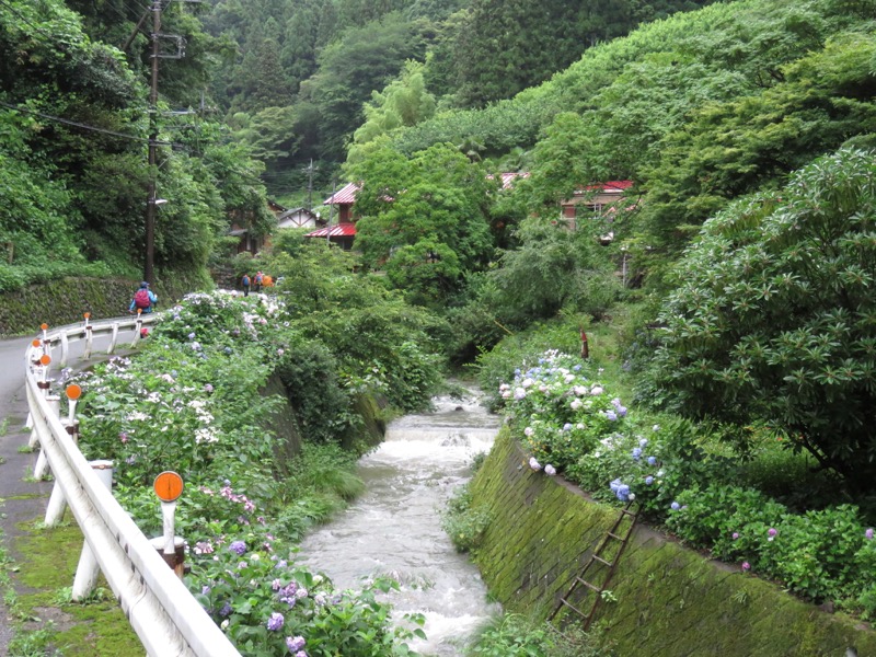 南沢あじさい山登山