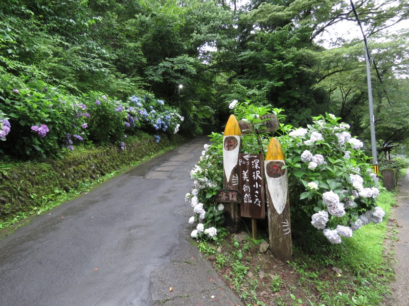 南沢あじさい山登山