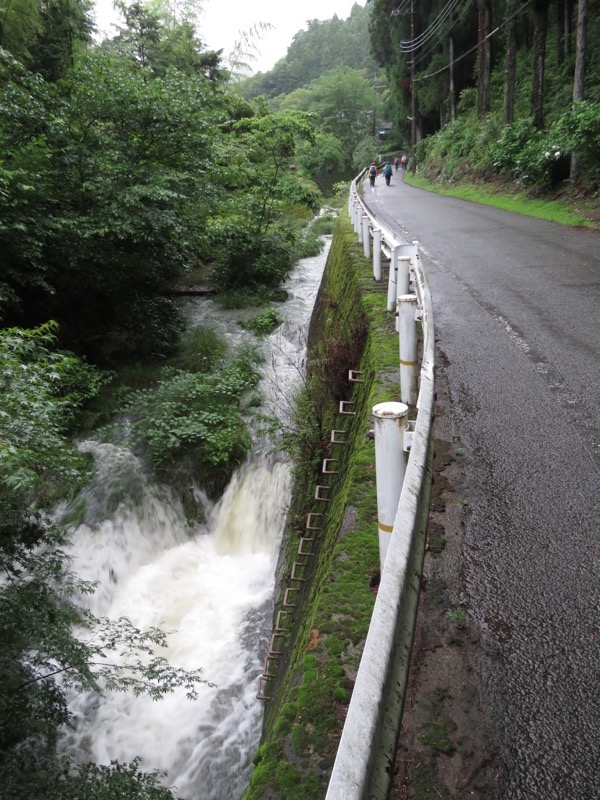 南沢あじさい山登山