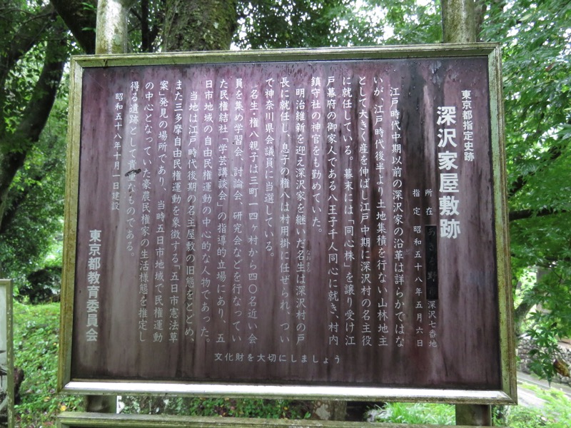 南沢あじさい山登山