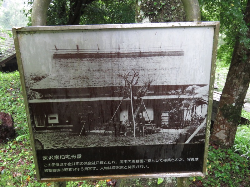 南沢あじさい山登山