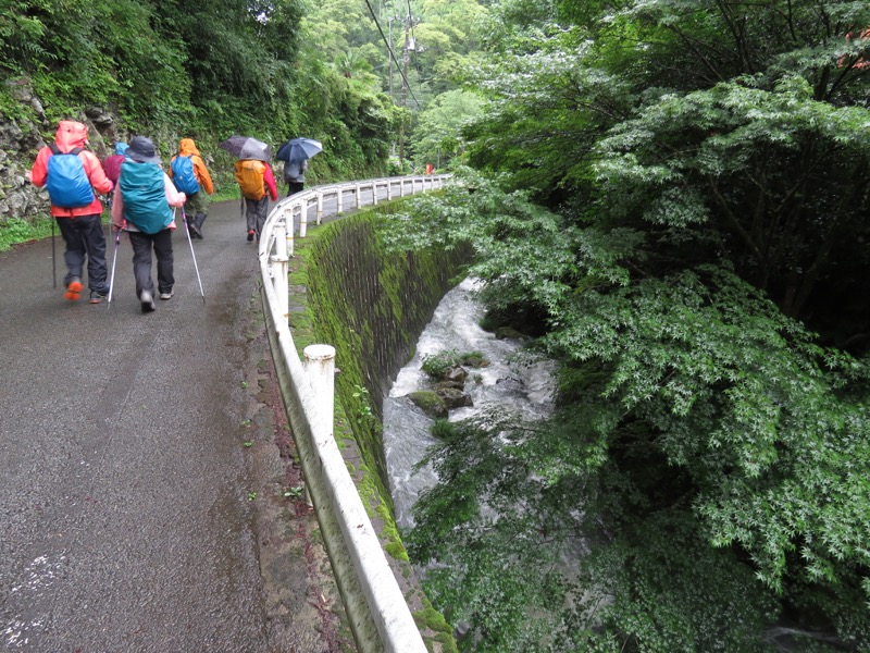 南沢あじさい山登山
