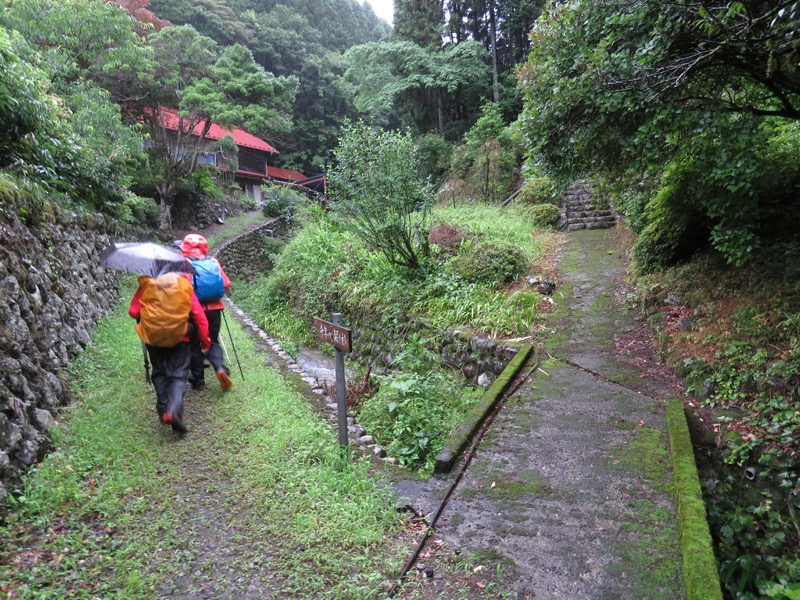 南沢あじさい山登山