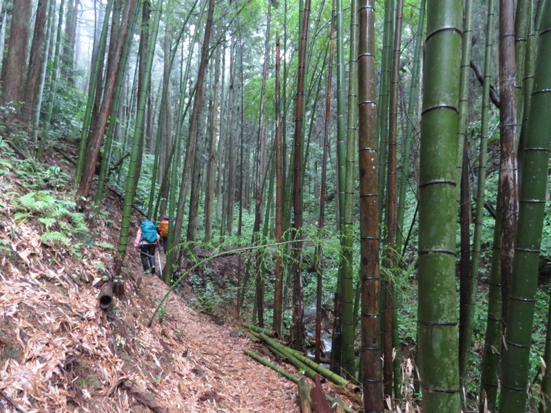 南沢あじさい山登山