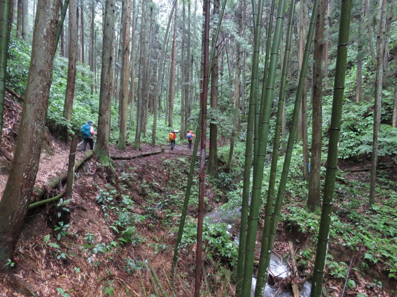 南沢あじさい山登山