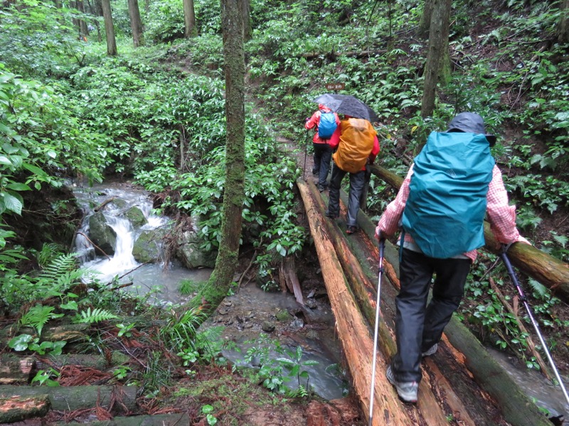 南沢あじさい山登山
