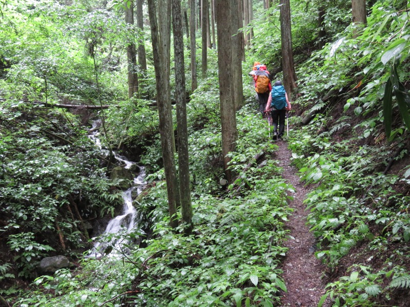 南沢あじさい山登山