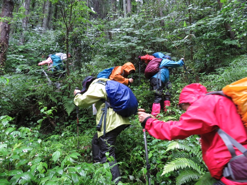 南沢あじさい山登山