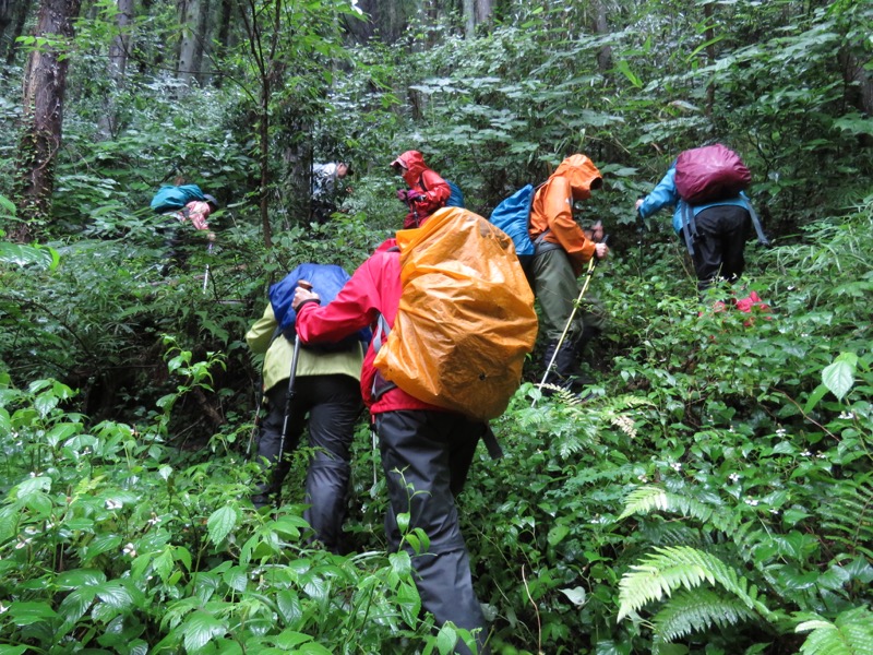 南沢あじさい山登山