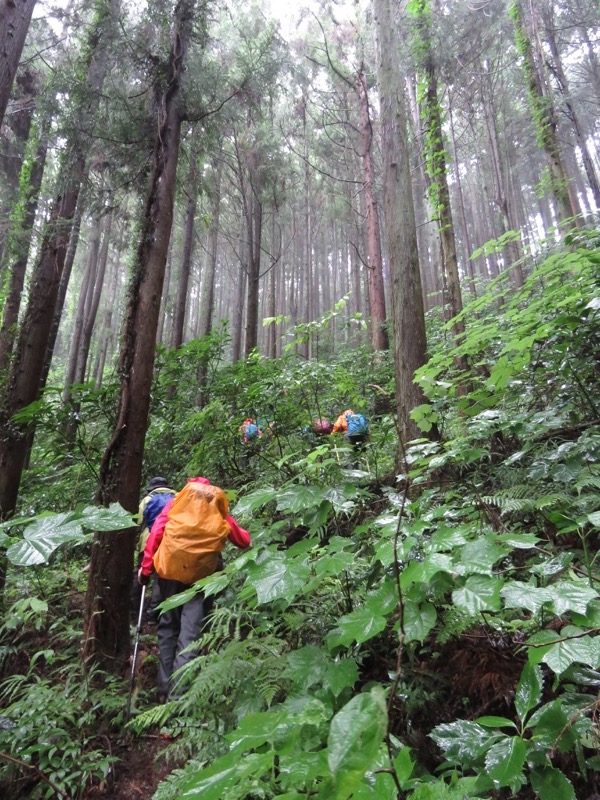 南沢あじさい山登山