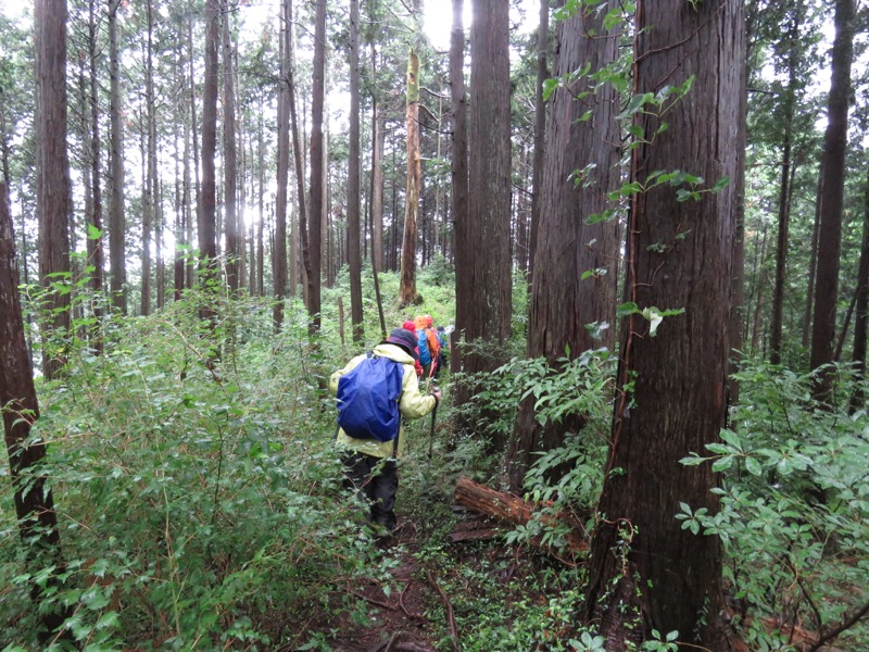 南沢あじさい山登山
