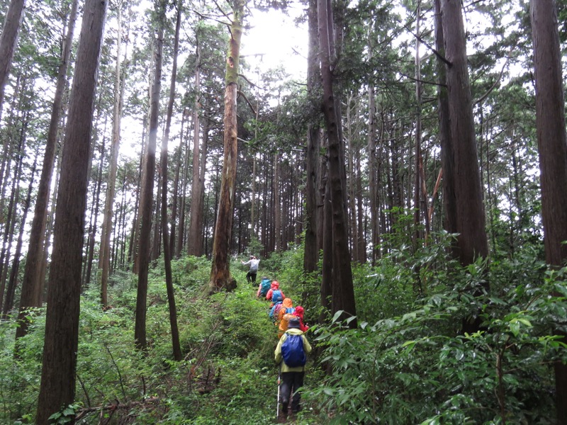 南沢あじさい山登山