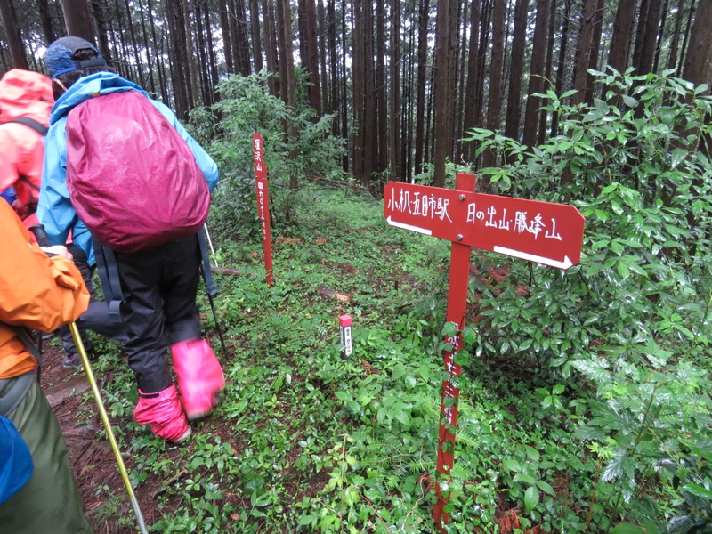 南沢あじさい山登山