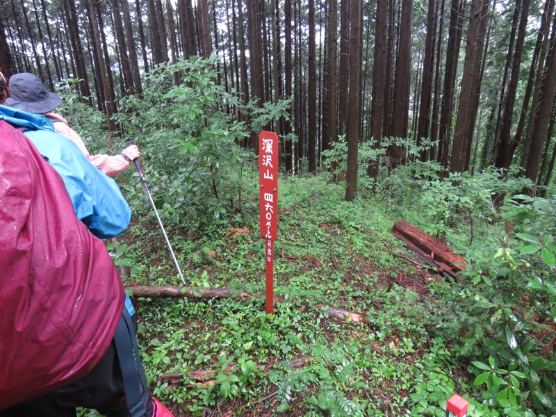 南沢あじさい山登山