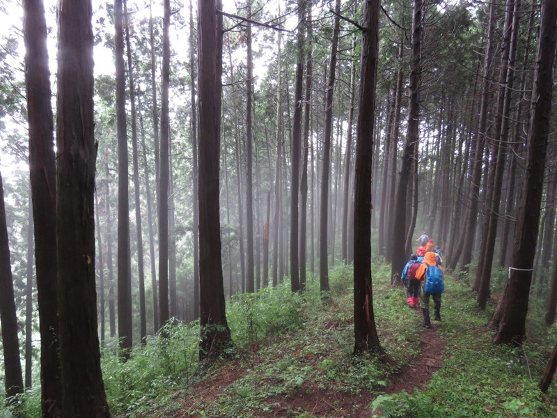 南沢あじさい山登山