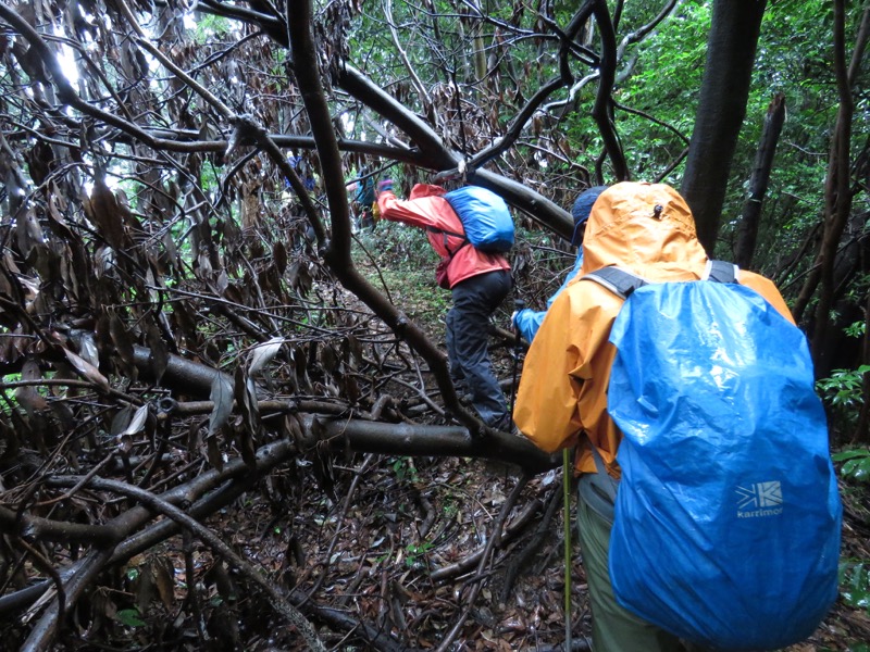 南沢あじさい山登山