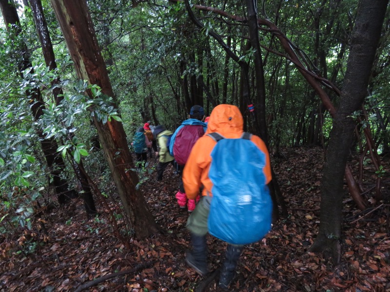 南沢あじさい山登山