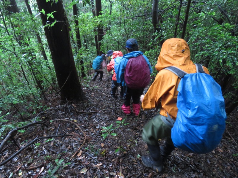南沢あじさい山登山