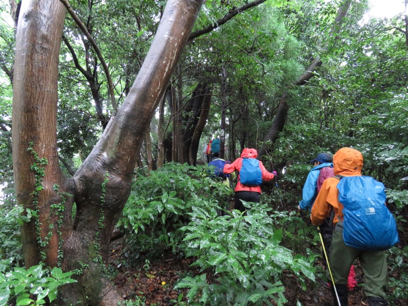 南沢あじさい山登山
