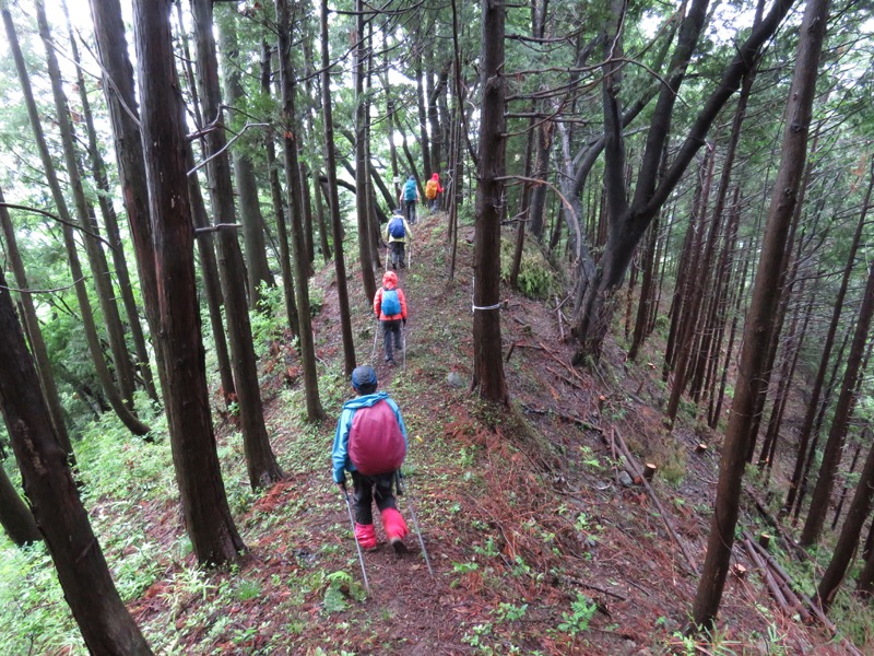 南沢あじさい山登山
