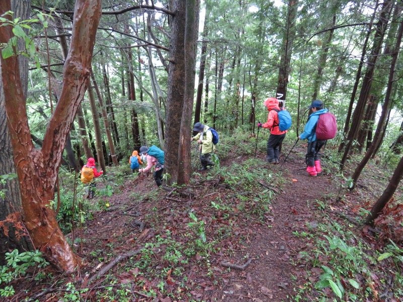 南沢あじさい山登山