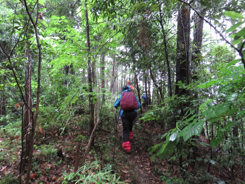 南沢あじさい山登山
