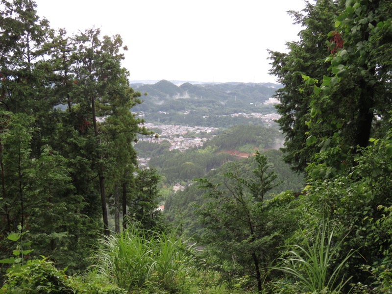 南沢あじさい山登山
