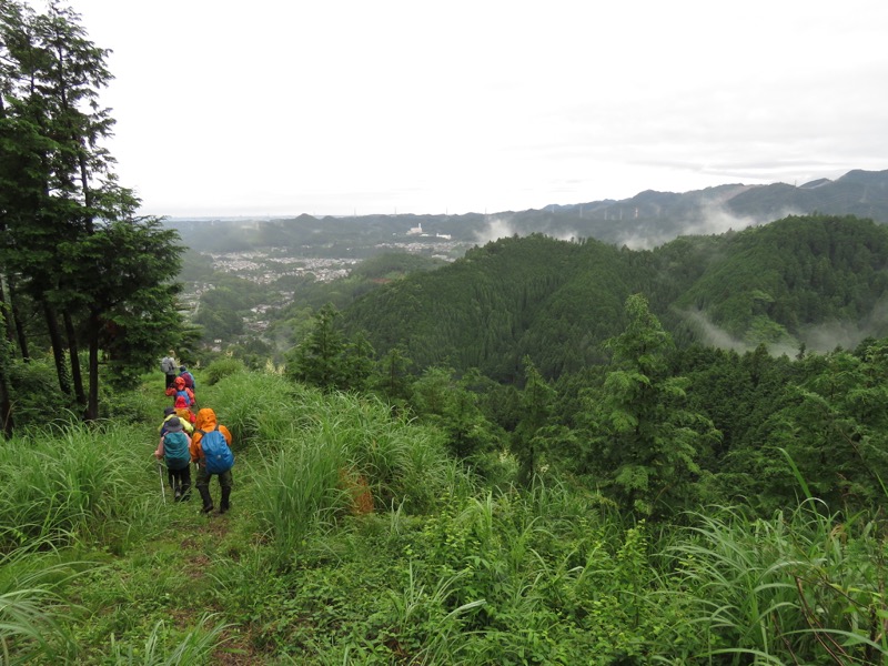 南沢あじさい山登山