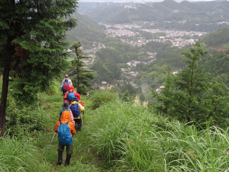南沢あじさい山登山
