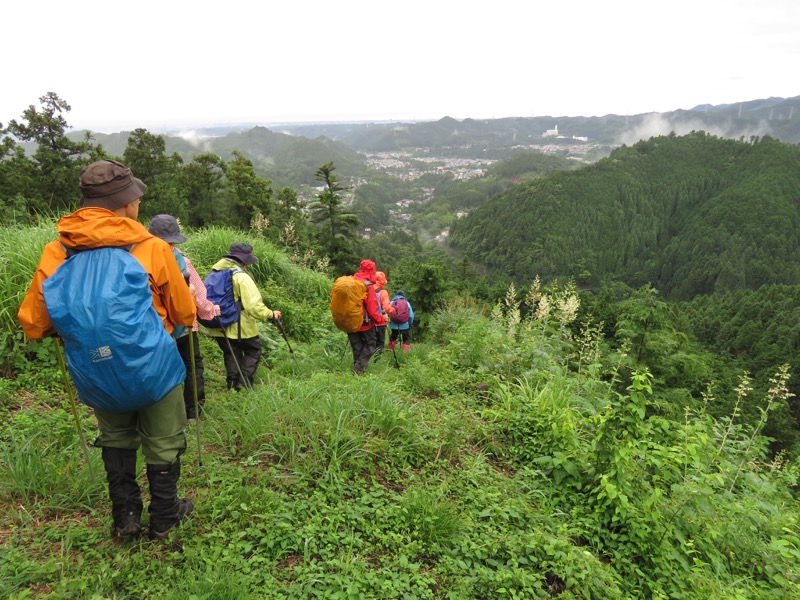 南沢あじさい山登山