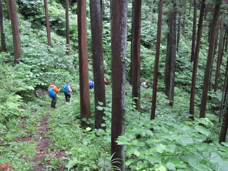南沢あじさい山登山