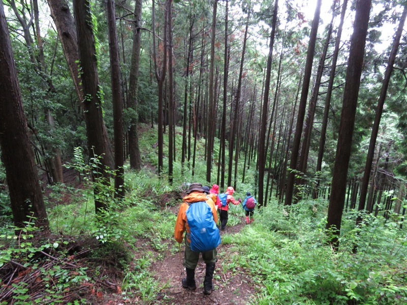 南沢あじさい山登山